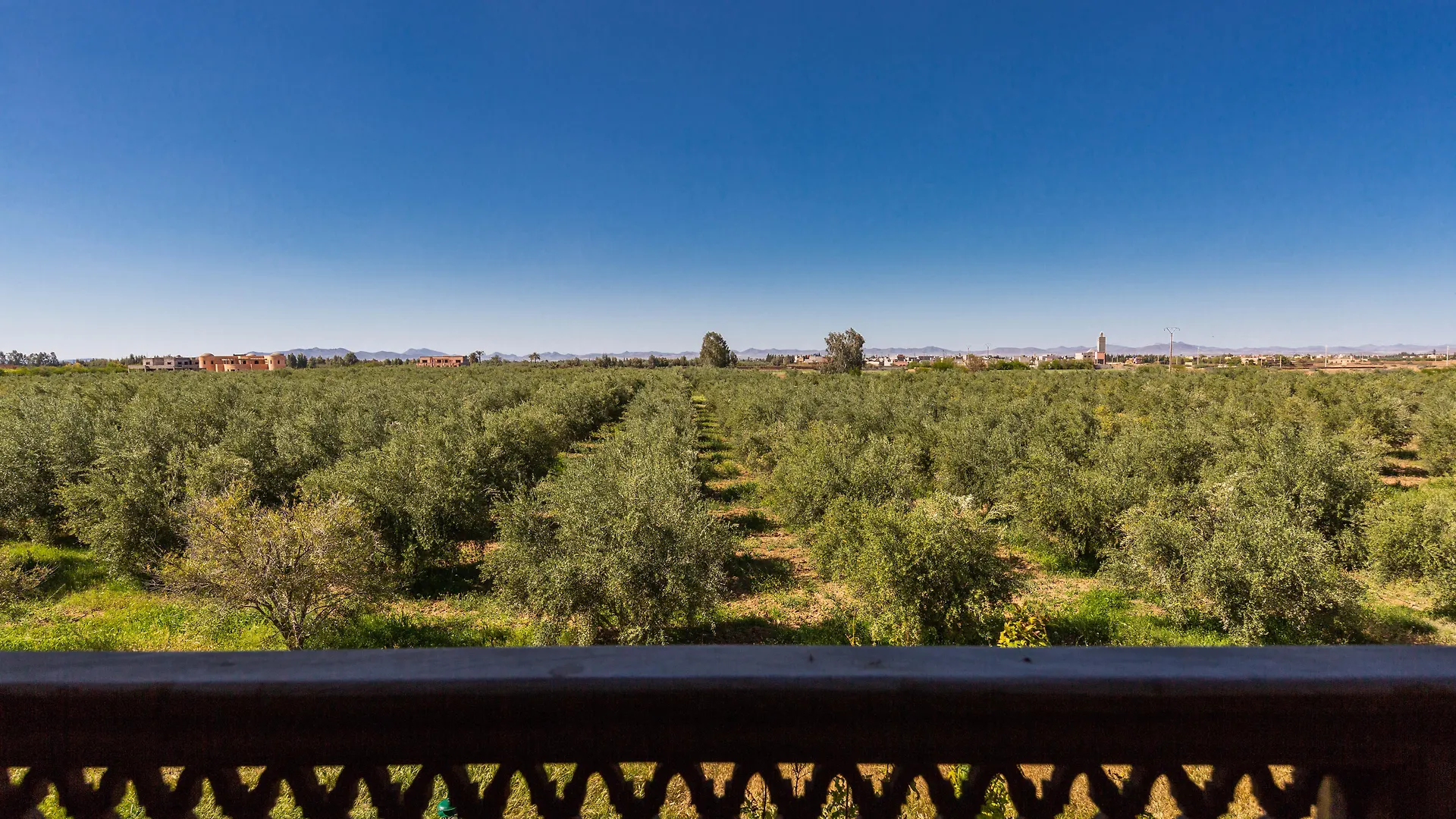 Le Ranch De L Atlas Douar Caid Layadi
